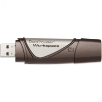 Накопитель USB 32 Гб Kingston DTWS-32GB