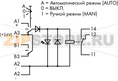 Релейный модуль; Номинальное входное напряжение: 24 В пост.тока; 1 перекл. контакт; Предельный длительный ток: 12 А; для ламповых нагрузок; Ручное/Выкл/автоматическое выключение; Красный индикатор состояния; Ширина модуля: 18 мм Wago 789-329 
