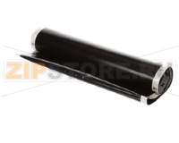 CINTURA, SUPERIORE/INTERMEDIA