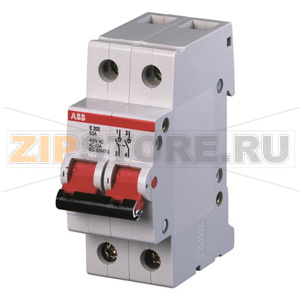 Рубильник двухполюсный 80 A, E202/80G ABB 2CDE282001R1080 