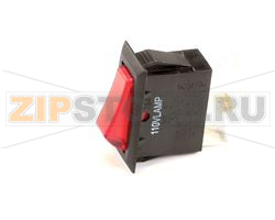 SINGLE POLE SWITCH 