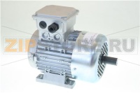 MOTORE 80 3F 0,55KW B3 50/60Hz