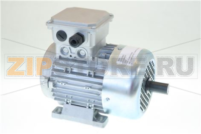 MOTORE 80 3F 0,55KW B3 50/60Hz 