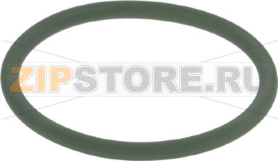 OR GASKET 04175 FKM B.A. 
