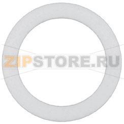 GUARNIZIONE PIANA PTFE ø 21,5x17x2 mm 