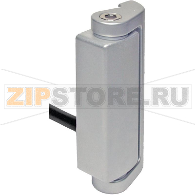 Выключатель шарнирный, защитный, 400 В/AC, 4 А, IP69K, 1 шт Pizzato Elettrica HP AA050C-2PN 