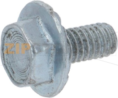 Screw M4 X 8 Te 