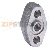 Овальный фланец, вход - внутренняя резьба 1/2-14 NPT, материал сталь 1.0460, макс. давление 420 бар. Siemens 7MF9408-2CE