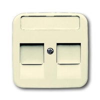 Накладка для коммуникационных розеток с суппортами и полем для надписи ABB 2CKA001753A9975