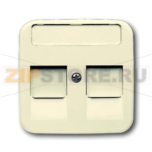 Накладка для коммуникационных розеток с суппортами и полем для надписи ABB 2CKA001753A9975 