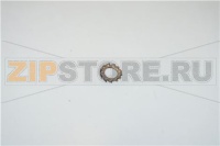 RONDELLA DENTEL. DIN 6798 A D  4E