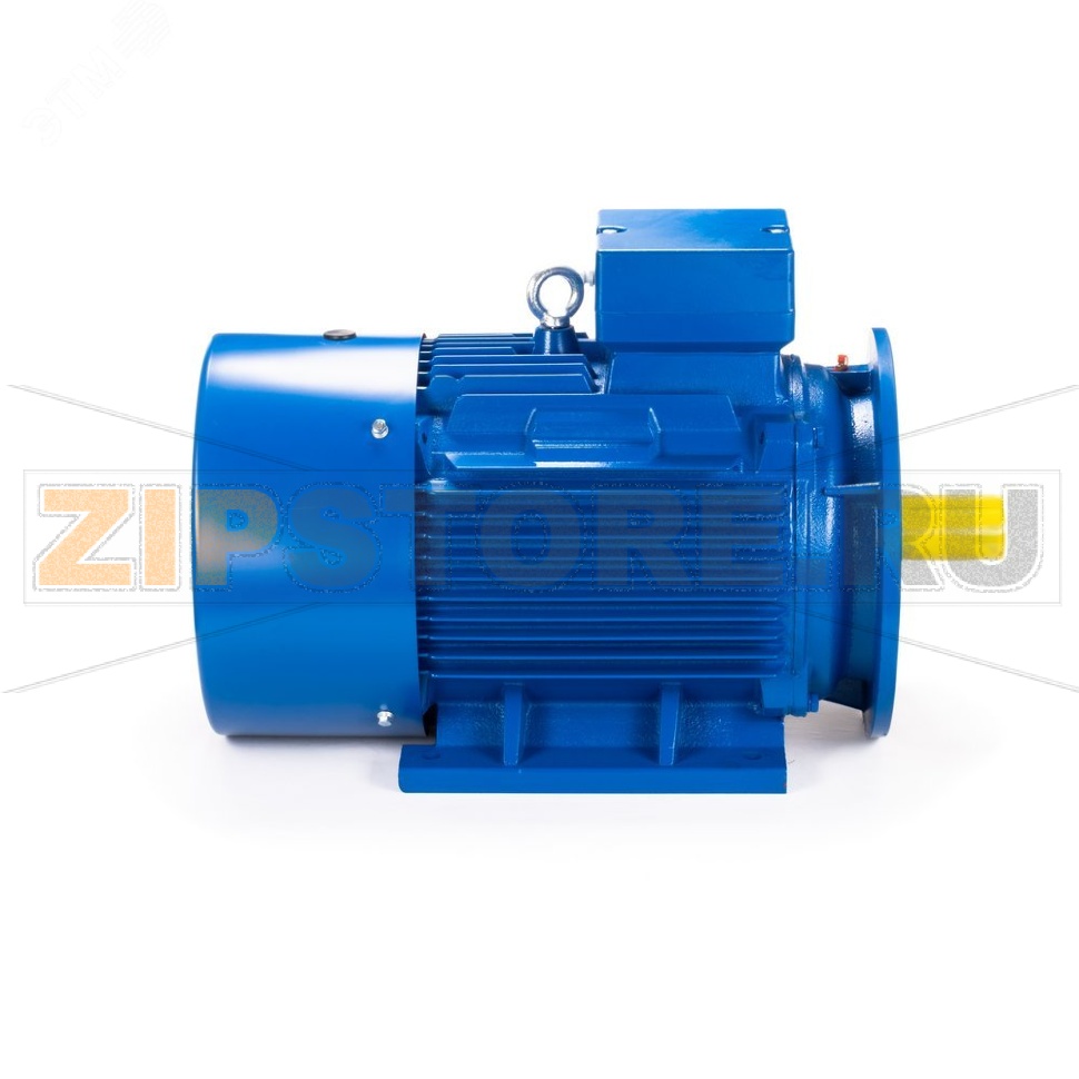 Электродвигатель асинхронный 45 кВт, 380/660 В, 1000 об/мин, 3 фазы, IP55 ESQ 01.05.01.222780 