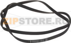 BELT HUTCHINSON 1309 J4 