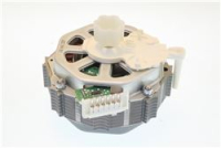 MOTORE TM 31