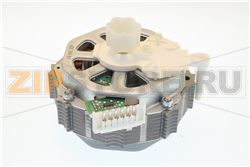 MOTORE TM 31 