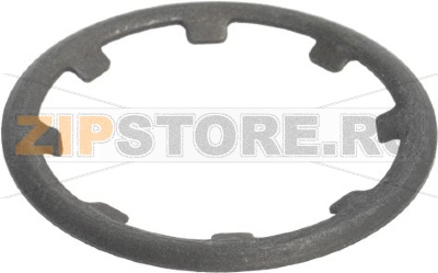 ELASTIC RING ø 34 mm 