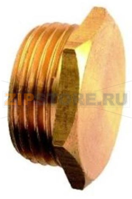 M 1/4 CAP - 10PCS 