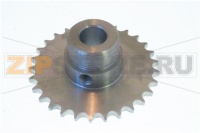 PIGNONE SP. Z29 FILETTATO