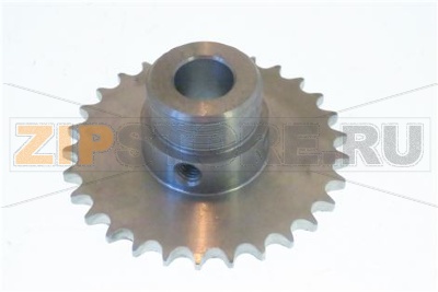 PIGNONE SP. Z29 FILETTATO 