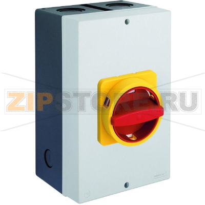 Переключатель кулачковый 100 А, 1x90°, 1 шт Sälzer H410-41300-730N4 
