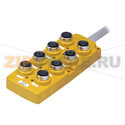 Коробка распределительная, разъем: M12, 4 пин Autonics PT8-3DN 