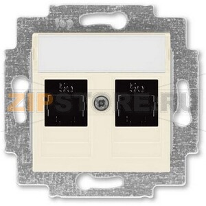 Розетка компьютерная, 2хRJ45, слоновая кость ABB 2CHH295118A6017 