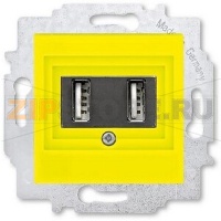 USB-розетка двойная, жёлтая ABB 2CHH290040A6064