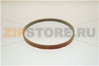 CINGHIA POLY-V 381 J 4 GC5000 '05