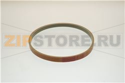 CINGHIA POLY-V 381 J 4 GC5000 &#039;05 