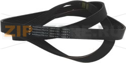 BELT HUTCHINSON 1309 J6 