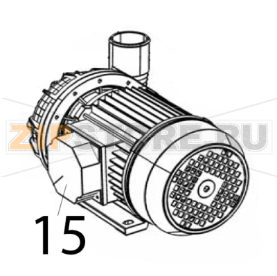 Pompa 1.1 Kw Silanos NE1300 Pompa 1.1 Kw Silanos NE1300Запчасть на деталировке под номером: 15