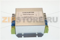 FILTRE ANTI PARASITE