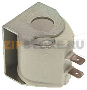 SOLENOID VALVE COIL 220/240V 