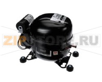 COMPRESSOR
