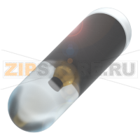 Носитель данных низкочастотный (125 кГц) Balluff BIS003N