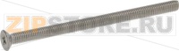 FLAT COUNTERSUNK HEAD SCREW M5x75