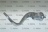 GANCIO SPIRALIZZATO MP20/T- V