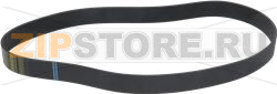 BELT POLY V 1270 J50 16N 