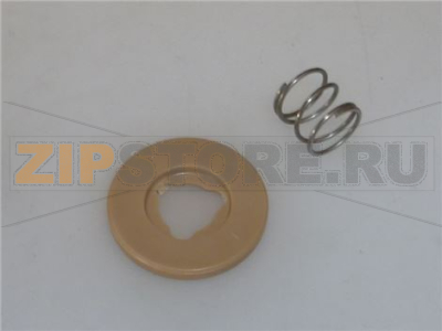 PISTON WITH LOWER SPRING Z3000 