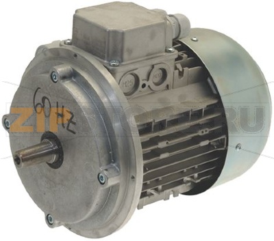 MOTORE 220V 60Hz 