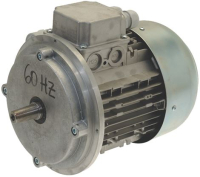 MOTORE 220V 60Hz