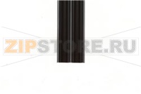 BINARIO INFERIORE DELLA PORTA, DCH