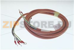 CAVO; MOTOR 