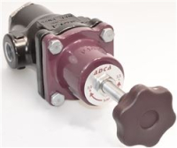 DETENDEUR VAPEUR PN25 FF1/2G