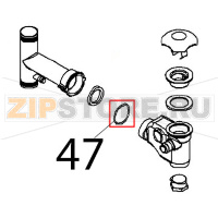 Anello OR Angelo Po FX101G2