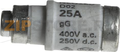 Fuse 25 A (Neozed) 