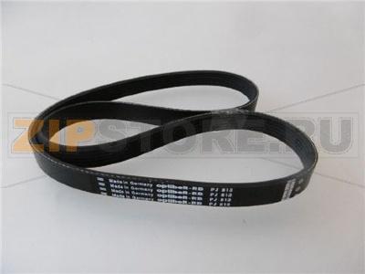 CINGHIA PJ 813 
