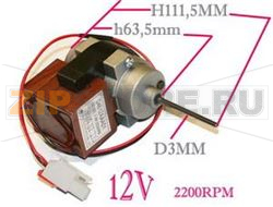 MOTOR  F 