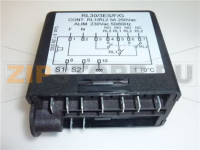 REGOLATORE DI LIVELLO RL 30/3ES/F-G 400K 