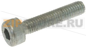 ВИНТ С ЦИЛИНДРИЧЕСКОЙ ГОЛОВКОЙ M4X20 